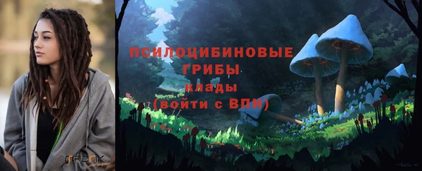 гашик Армянск