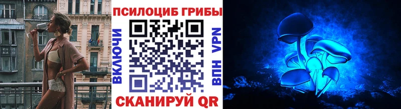 Псилоцибиновые грибы Psilocybe Починок