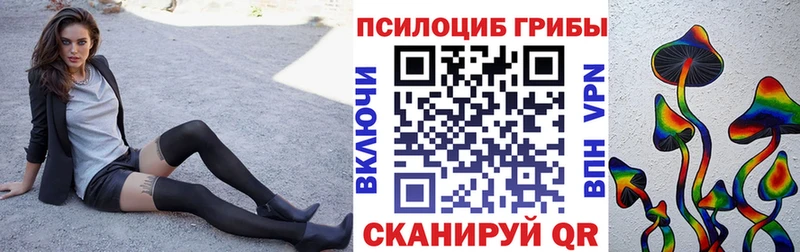 Псилоцибиновые грибы ЛСД  mega маркетплейс  это какой сайт  Починок 